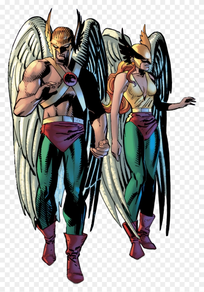 809x1184 Andy Kubert Drew An Amazing Hawkman And Hawkgirl In Hawkgirl, Person, Human, Costume HD PNG Download