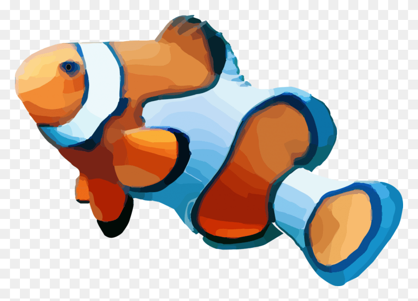 1073x750 Anemone Fishfishanimal Figure Clownfish, Outdoors, Hand, Nature HD PNG Download