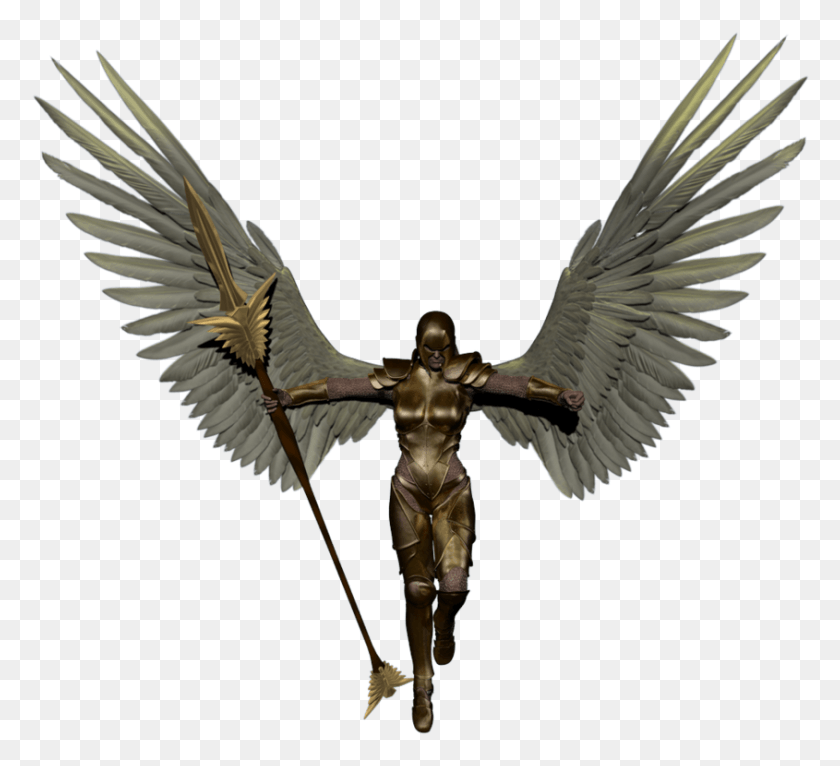 845x765 Angel Warrior Clipart Side Wing League Of Angels 3 Wings, Bird, Animal, Bronze HD PNG Download