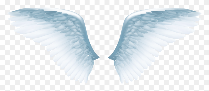 1684x659 Angel Wing Icon White Angel Wings, Archangel, Brush HD PNG Download