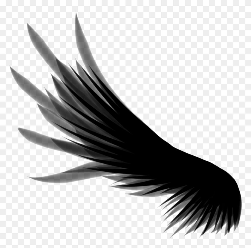 981x969 Ангел Крылья Фон Прозрачные Крылья, Серый, На Открытом Воздухе, Мир Варкрафта Png Скачать