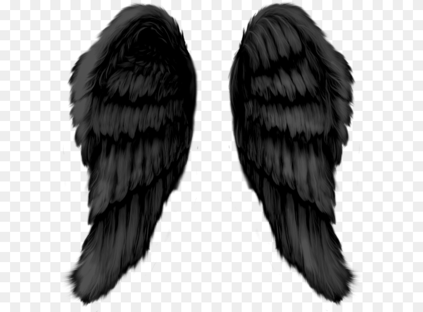 600x619 Angel Wings Monochrome, Animal, Bird, Vulture Clipart PNG