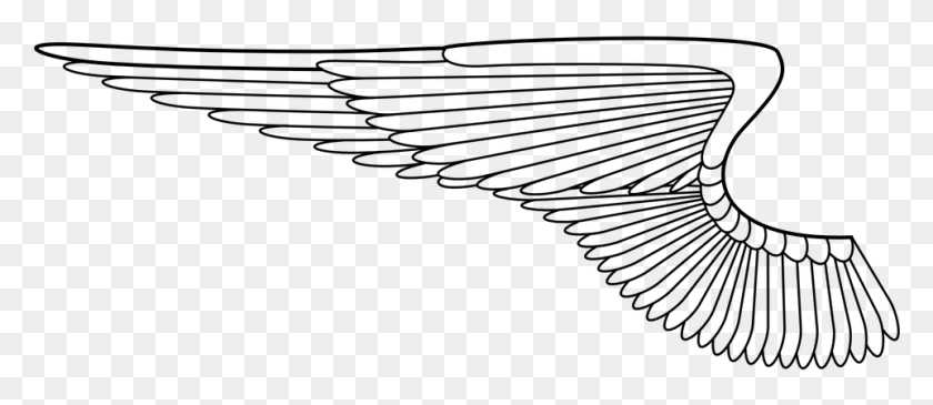 961x377 Крылья Ангела Бесплатная Векторная Графика На Pixabay Wings Прозрачный Фон, Серый, Мир Варкрафта Png Скачать
