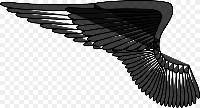 Angel Wings Left, Silhouette, Animal, Bird, Flying Clipart PNG