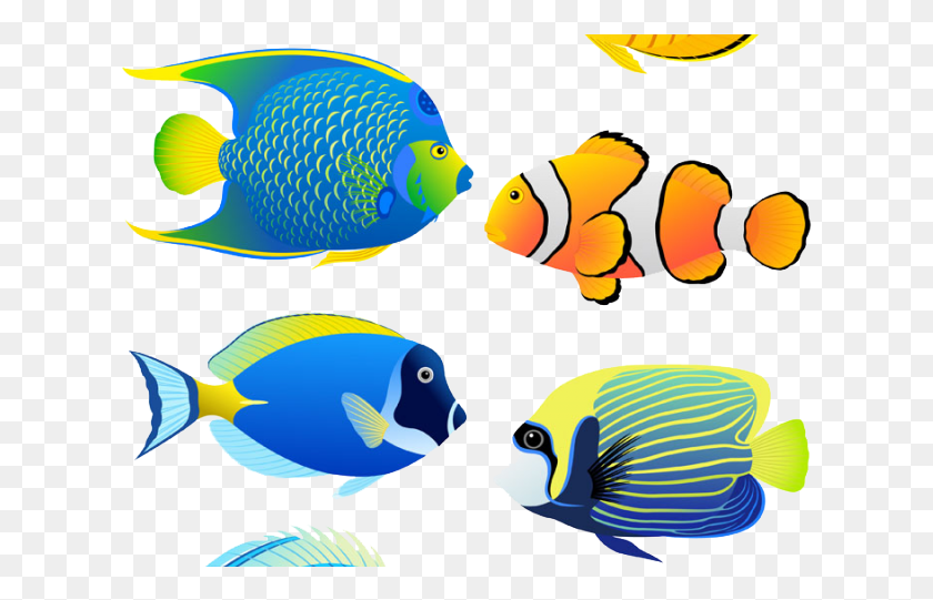 623x481 Angelfish Clipart Aquarium Fish Coral Reef Fish Cartoon, Sea Life, Animal, Bird HD PNG Download