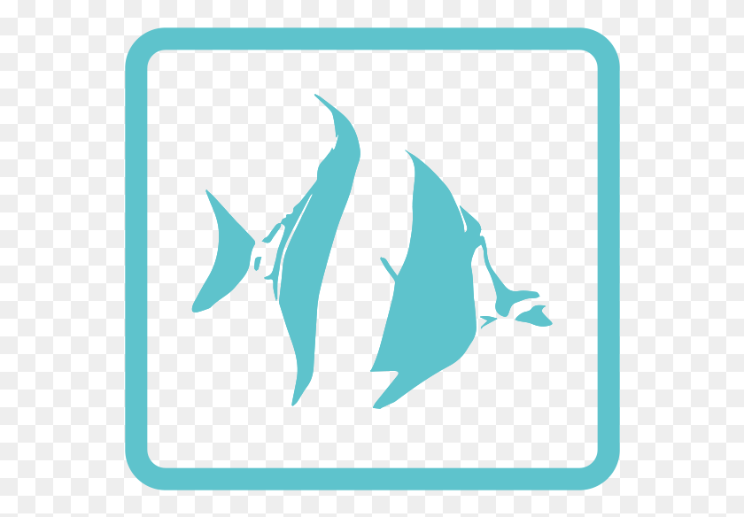 560x524 Angelfish Copy Marlin, Mousepad, Mat, Animal HD PNG Download
