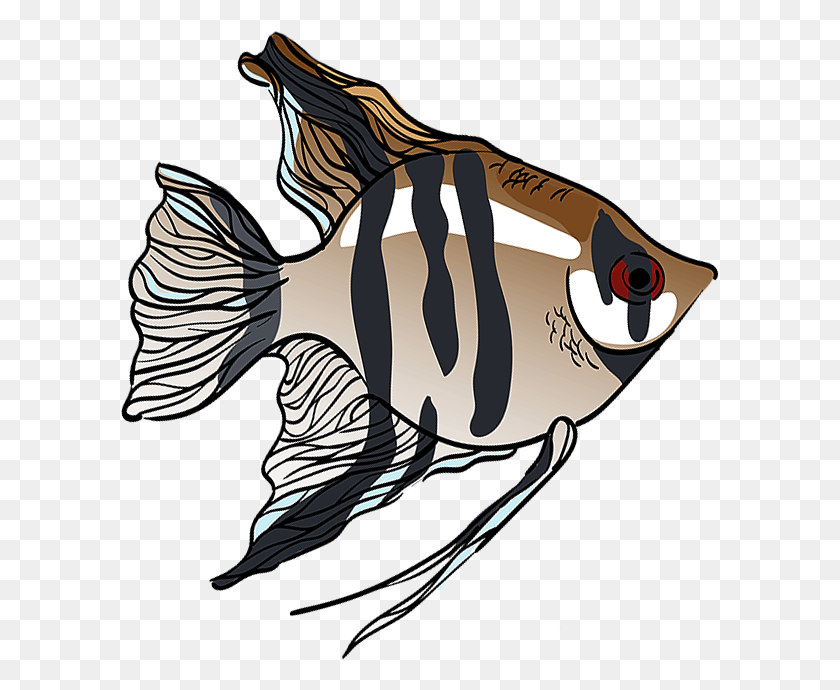 599x630 Рыба-Ангел Иллюстрация, Рыба, Животное, Морская Жизнь Hd Png Скачать
