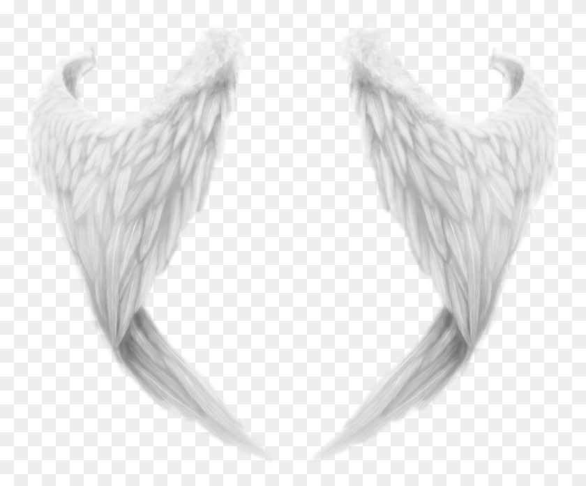847x692 Angels Clipart For Photoshop Angel Wing Transparent, Animal, Chicken, Poultry HD PNG Download