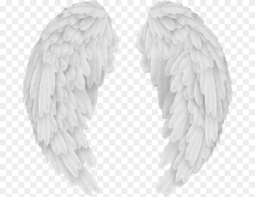992x768 Angels In America Wings Background Angel Wings, Animal, Bird, Vulture Transparent PNG
