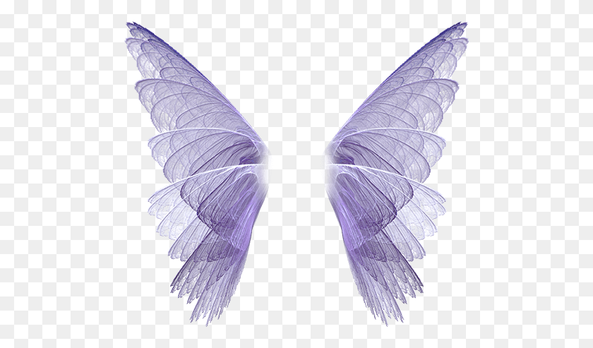488x433 Angelwings Wings Purple Dressup Costume Asas De Borboleta Para Fotoshop, Butterfly, Insect, Invertebrate HD PNG Download