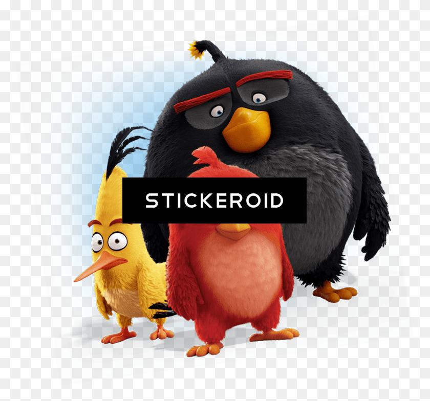 777x724 Angry Bird, Animal, Angry Birds, Penguin HD PNG Download