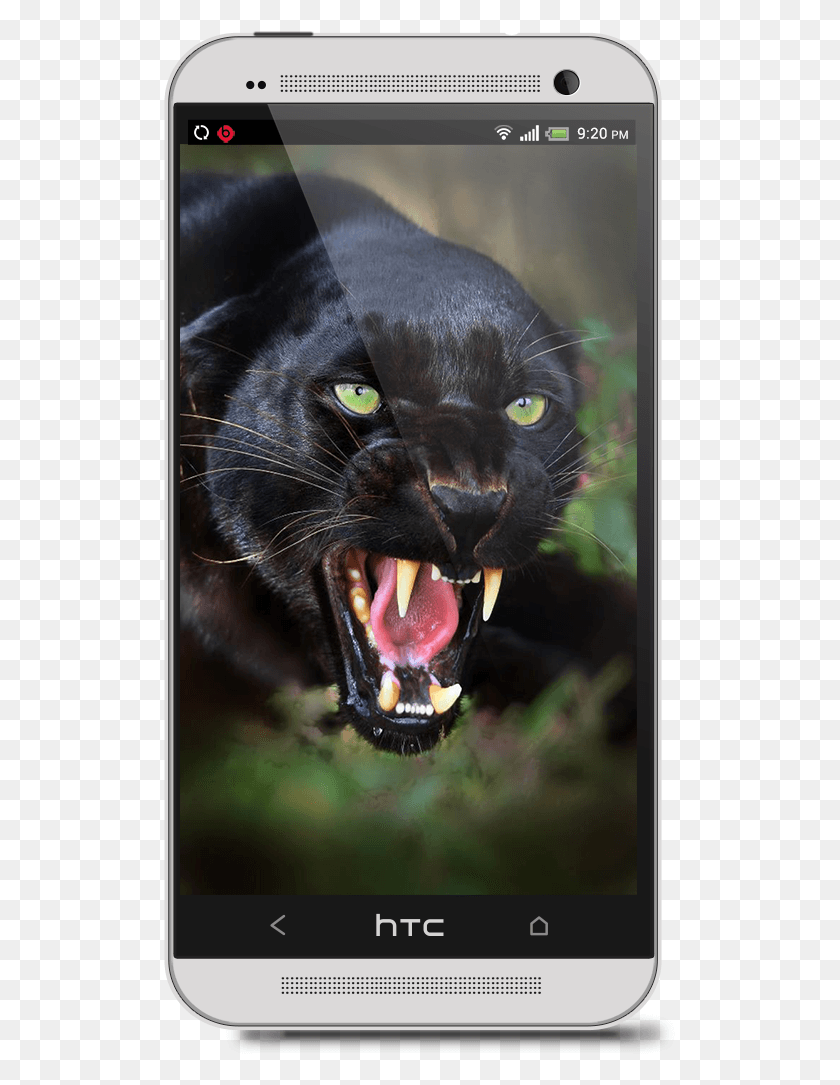 514x1025 Angry Black Jaguar, Mobile Phone, Phone, Electronics HD PNG Download