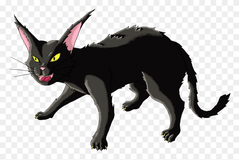 887x572 Angry Cat High Quality Image Portable Network Graphics, Animal, Mammal, Wildlife HD PNG Download