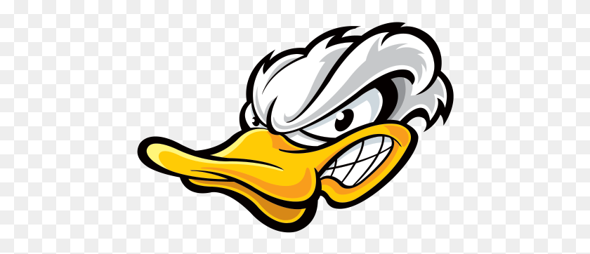 452x302 Angry Duck Vinyls Angry Duck, Animal, Beak, Bird HD PNG Download