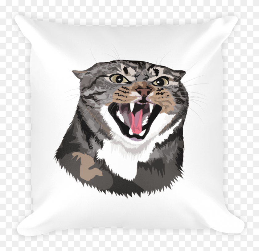 913x882 Angry Hissing Kitty Basic Pillow Cushion, Bird, Animal, Mouth HD PNG Download