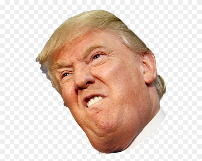 548x610 Злой Боковое Лицо Трамп, Голова, Человек, Человек Hd Png Скачать