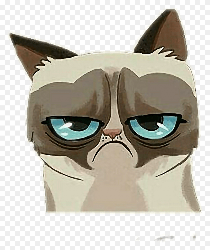 1024x1230 Angry Sticker, Cat, Pet, Mammal HD PNG Download