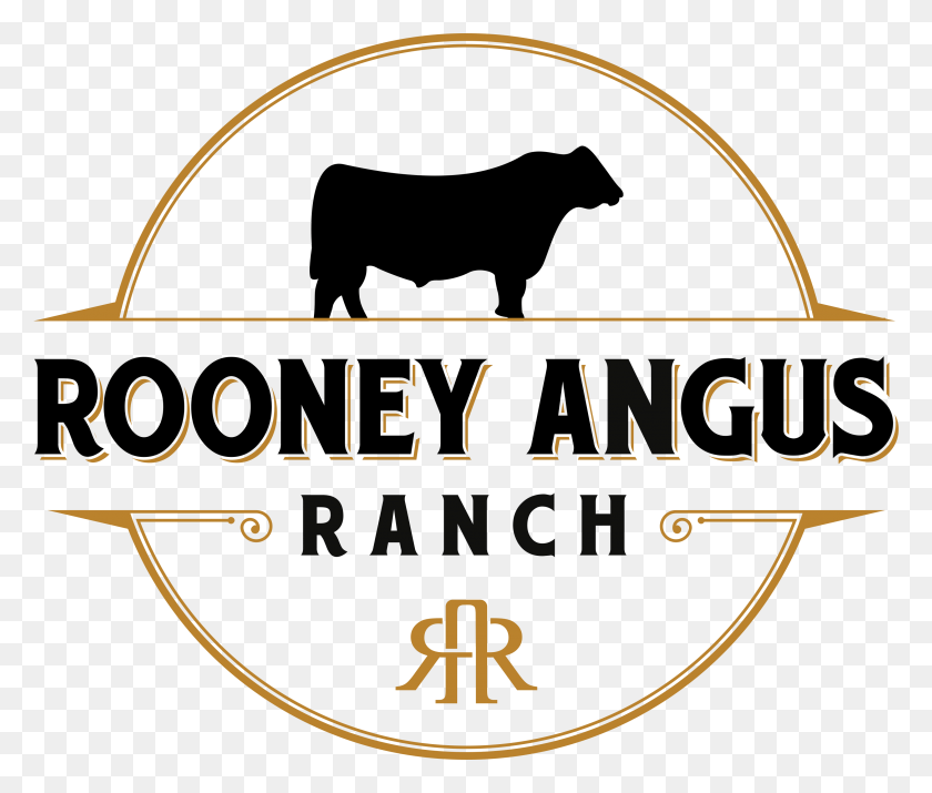 2950x2478 Логотип Ранчо Ангуса, Бык, Млекопитающее, Животное Hd Png Скачать