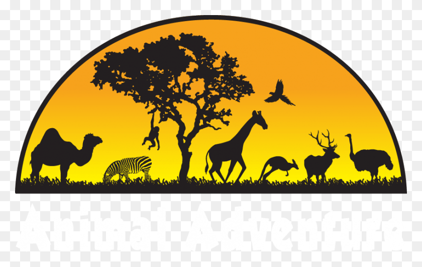 849x513 Парк Приключений Животных Апрель Жираф Приключение Животных, Антилопа, Дикая Природа, Млекопитающие Hd Png Скачать