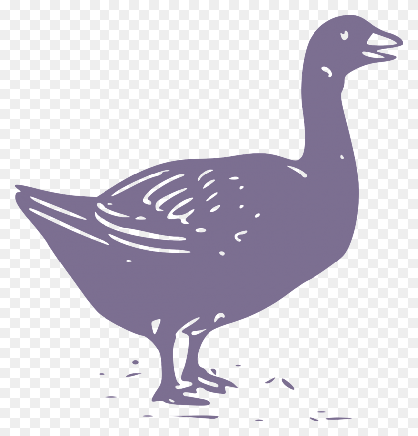 1222x1280 Animal Animals Farm Fowl Geese Image Goose, Bird, Beak, Waterfowl HD PNG Download