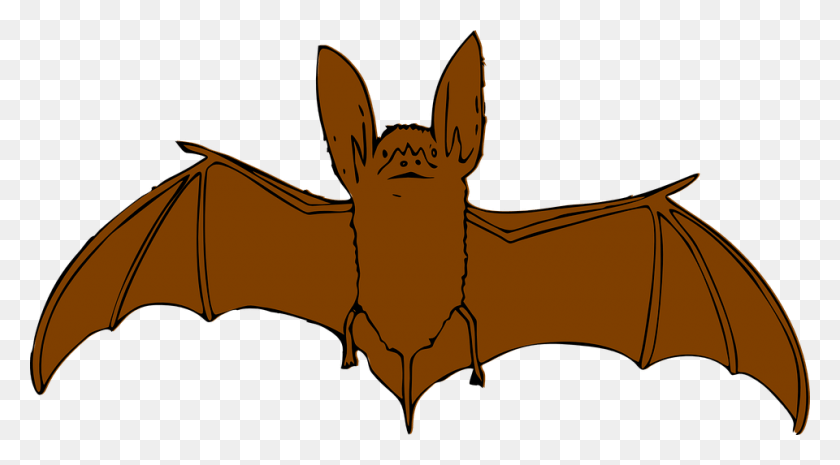 960x499 Animal Clipart Bat Brown Bat Clip Art, Wildlife, Mammal, Deer HD PNG Download