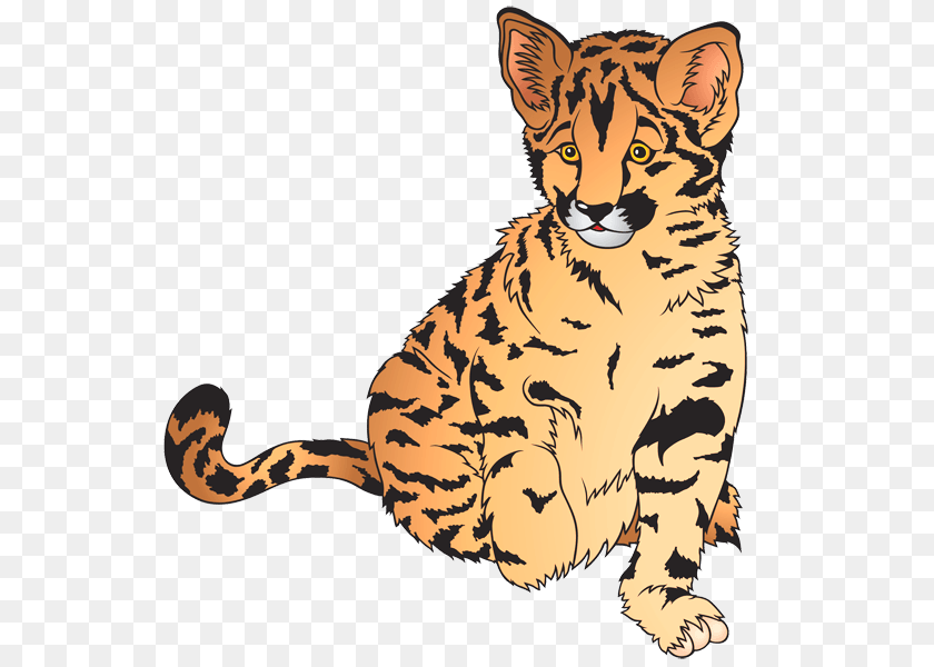Animal Cliparts, Mammal, Tiger, Wildlife, Cheetah PNG