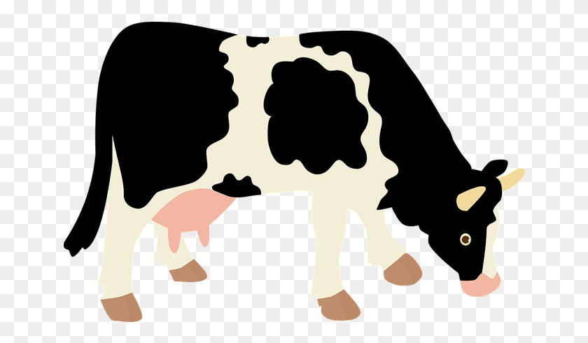 660x430 Animal Cow Free Transparent Background Images Free Kanye Wearing Yeezy Sesame, Cattle, Mammal, Dairy Cow HD PNG Download