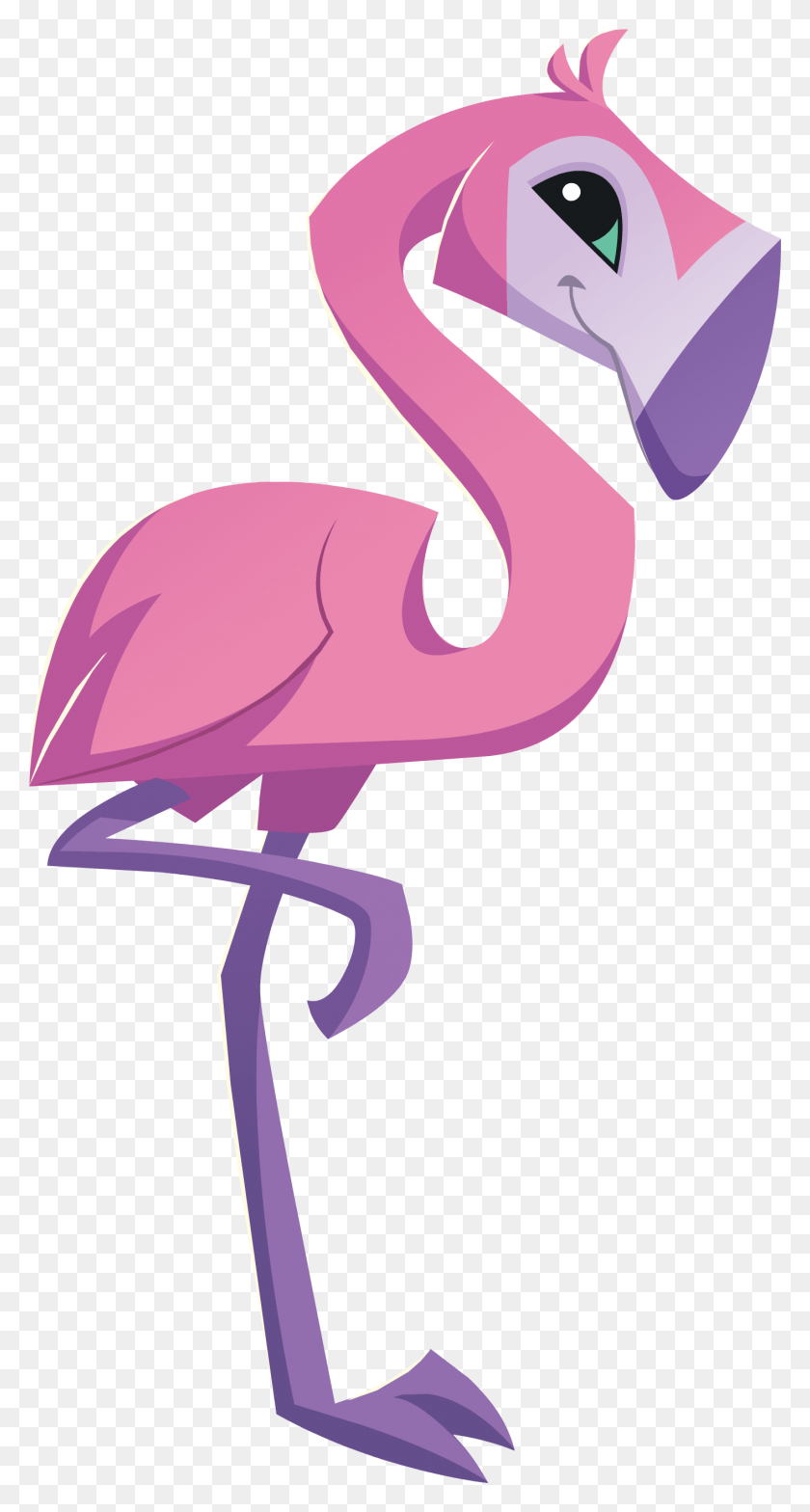 1414x2734 Flamingo, Pájaro, Animal, Animal Jam Png