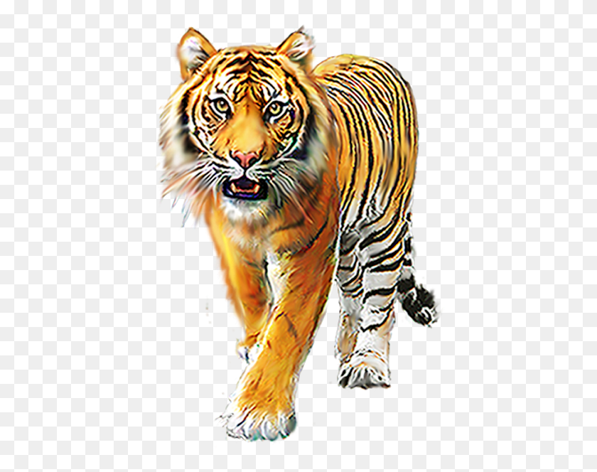 417x604 Царство Животных Национальный Парк Рантхамбор, Тигр, Дикая Природа, Млекопитающие Png Скачать