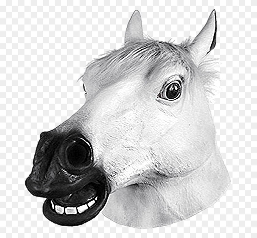 673x717 Animal Latex Head Face Mask Cosplay Costume Prop Helmet Black And White Horse Mask, Mammal HD PNG Download