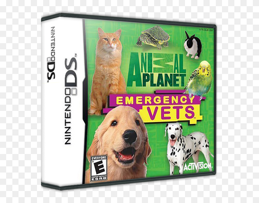 576x599 Animal Planet, Bird, Pet, Canine HD PNG Download