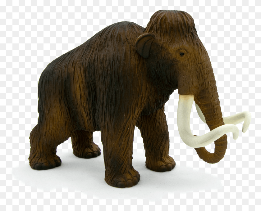 2992x2379 Animal Planet Wooly Mammoth HD PNG Download