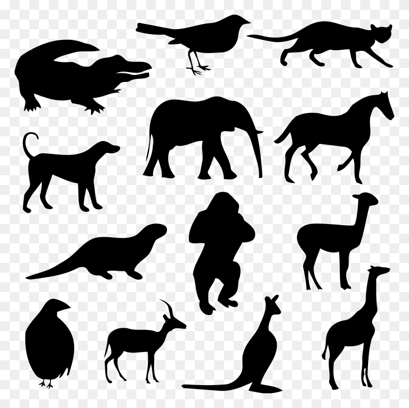 2400x2394 Animal Silhouettes 3 Icons Animals Silhouette, Gray, World Of Warcraft HD PNG Download