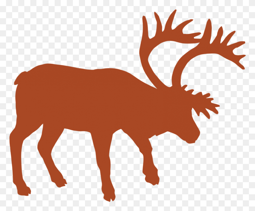 789x643 Animal Track Vector Graphics Muskox Reindeer Silhouette, Mammal, Wildlife, Moose HD PNG Download