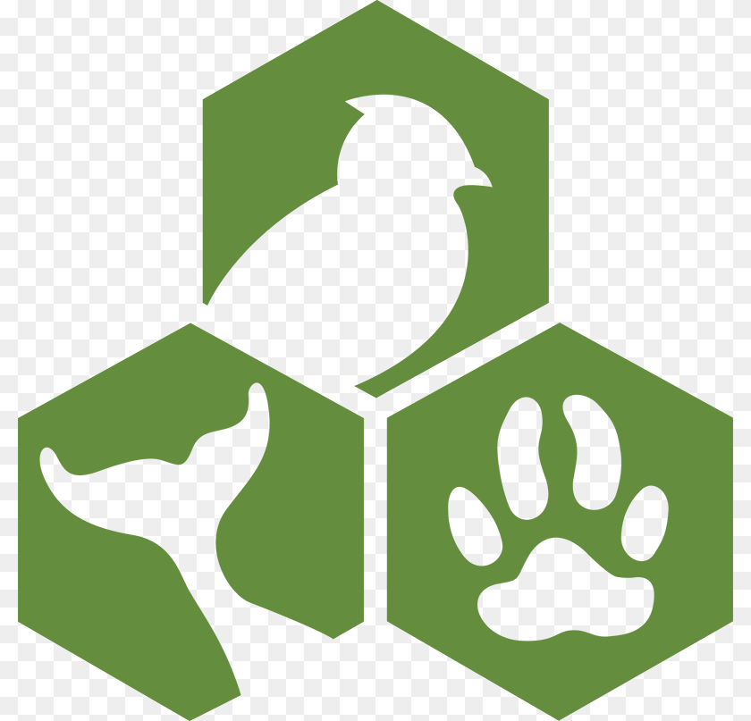 Animal Welfare Institute, Symbol, Logo, First Aid, Cross PNG