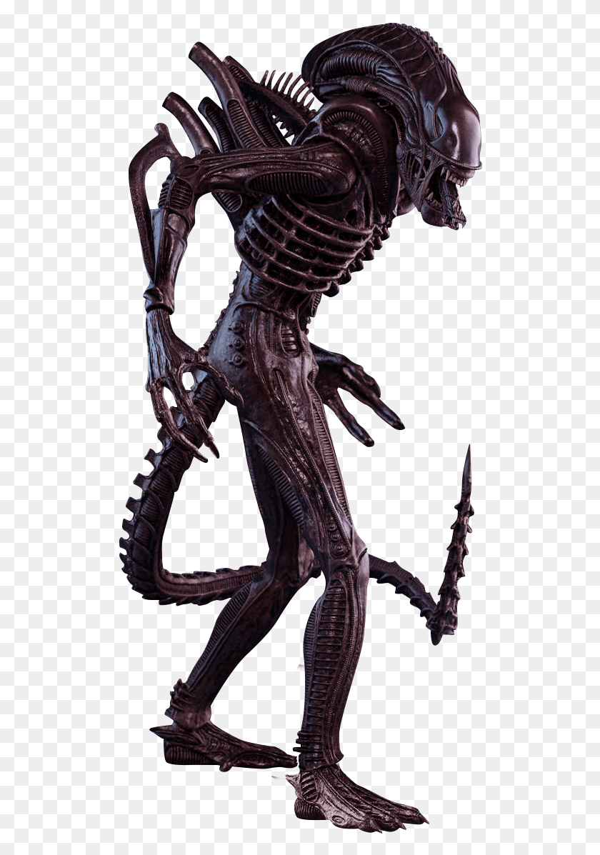510x1137 Descargar Png Animalaliens Xenomorph Figurka Alien, Esqueleto, Persona, Humano Hd Png