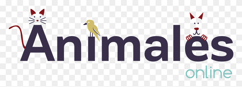 1914x595 Animales Online, Bird, Animal, Canary HD PNG Download