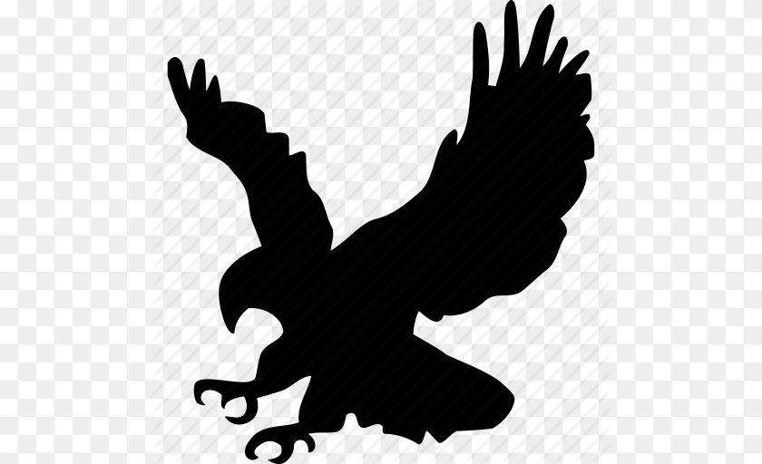 512x512 Animals, Animal, Bird, Blackbird, Vulture Transparent PNG