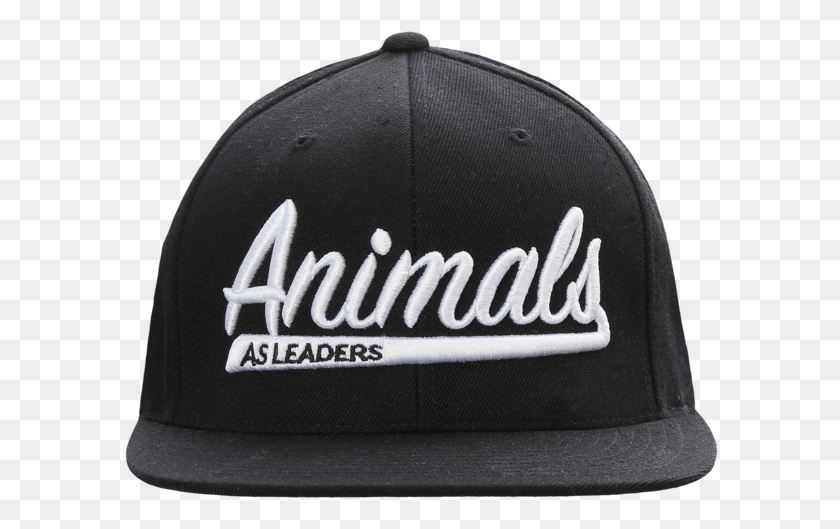 596x469 Animals As Leaders Sports Snapback, Clothing, Apparel, Baseball Cap HD PNG Download