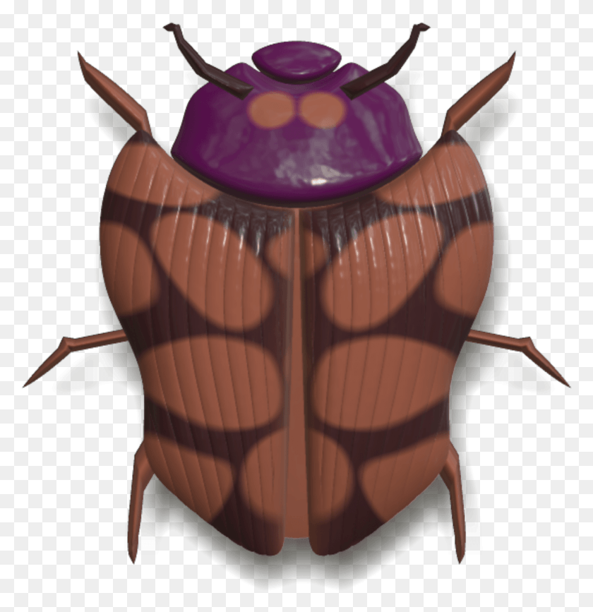 1202x1244 Animals Beetle, Invertebrate, Animal, Insect HD PNG Download
