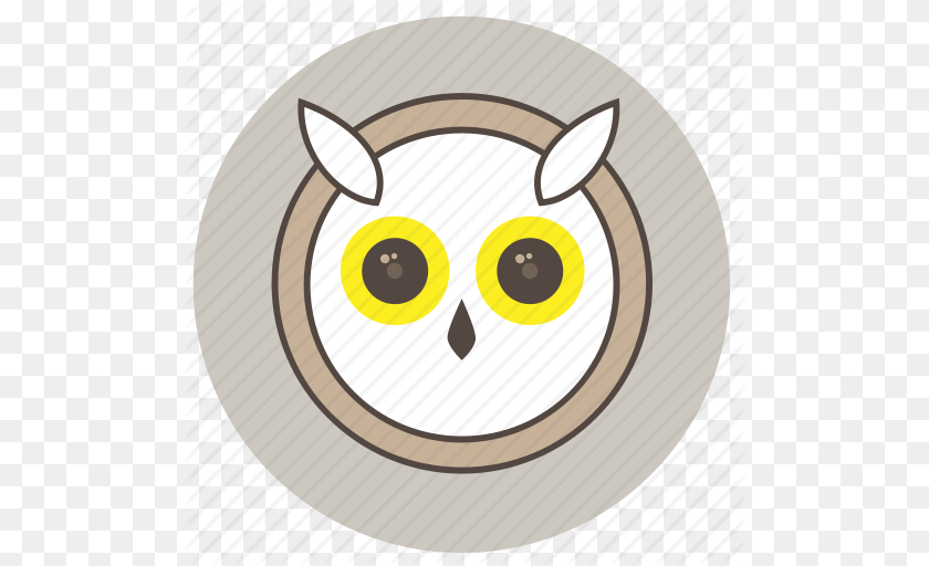 512x512 Animals Big Eyes Cute Face Night Owl Icon, Food, Fruit, Plant, Produce Clipart PNG