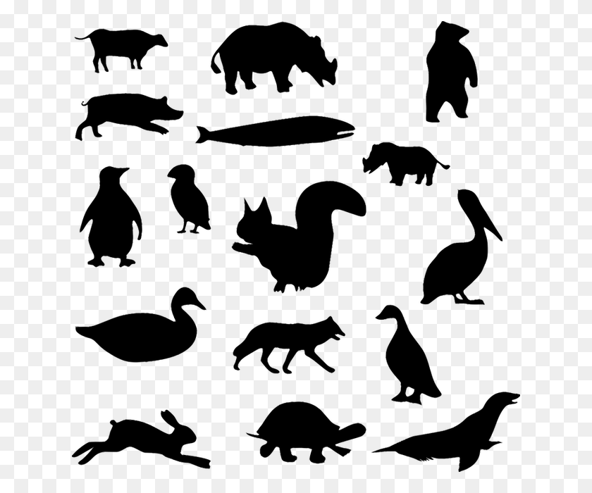 636x640 Animals Black And White, Gray, World Of Warcraft HD PNG Download