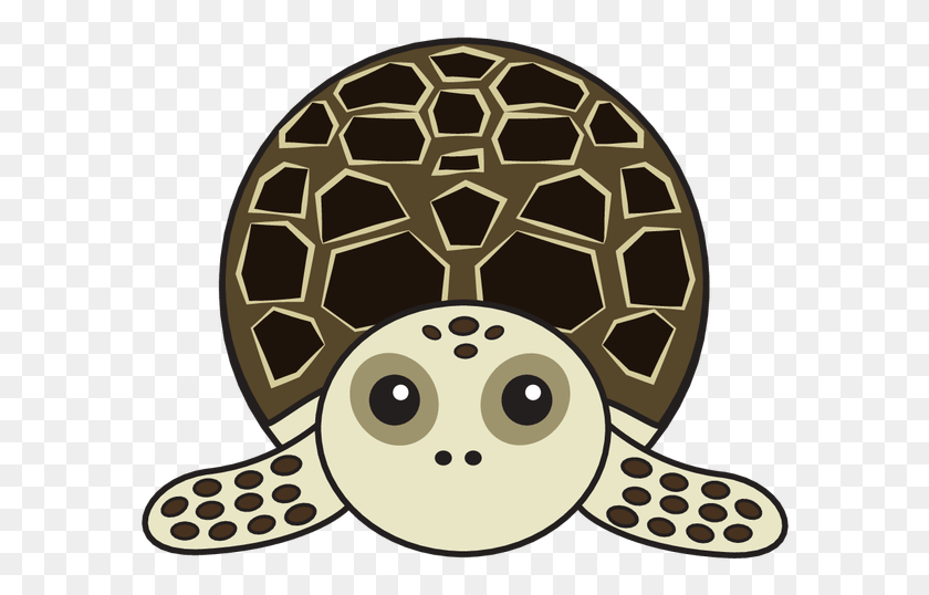 590x478 Animaru Hawksbill Turtle Sea Turtle, Soccer Ball, Ball, Soccer HD PNG Download