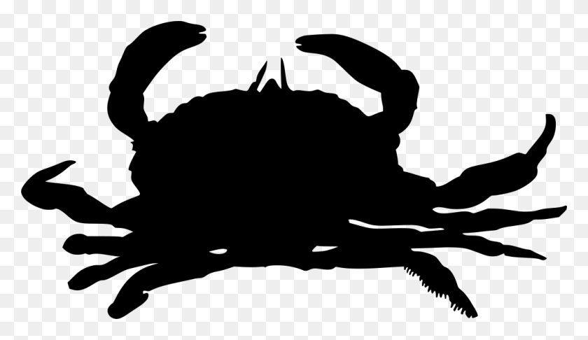 1024x560 Animated Crabs, Gray, World Of Warcraft HD PNG Download