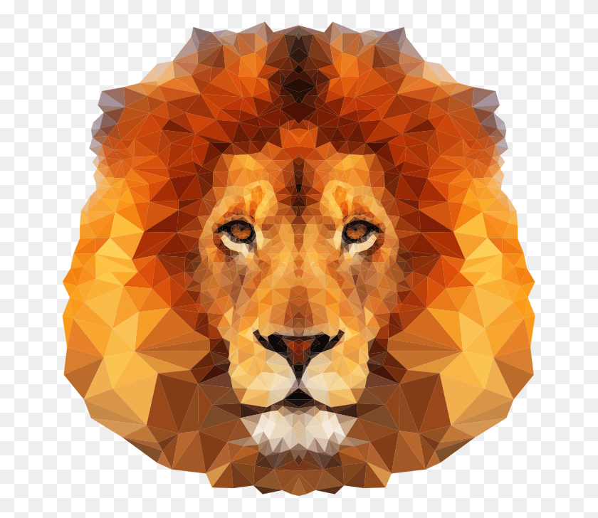 666x668 Animated Lion Face, Mammal, Animal, Wildlife HD PNG Download