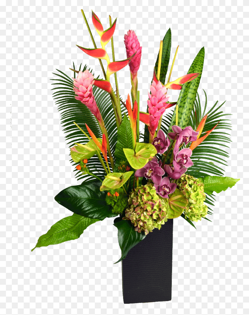 792x1018 Animated Transparent Casket Spray, Plant, Flower, Blossom Descargar Hd Png