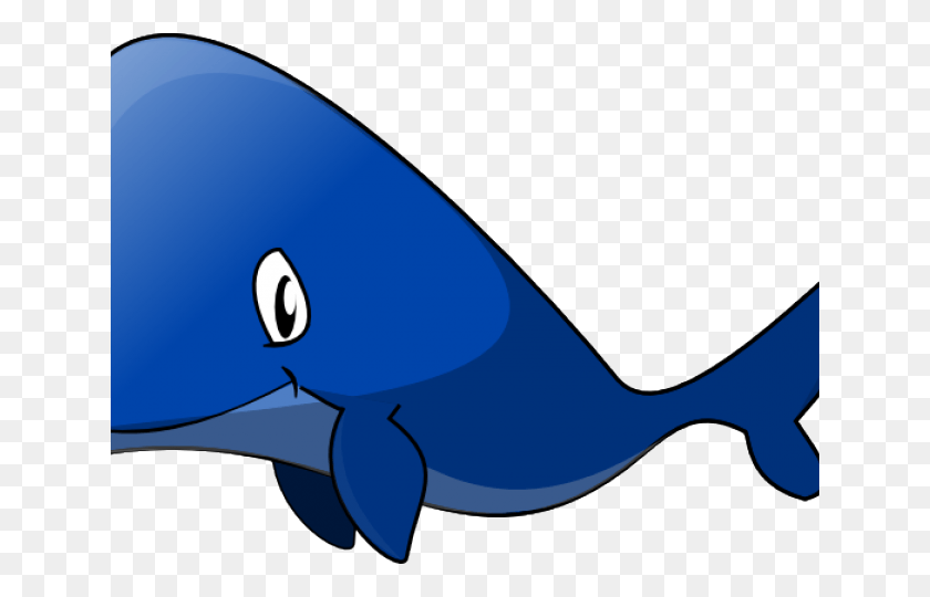 640x480 Animated Whale, Sunglasses, Accessories, Accessory HD PNG Download