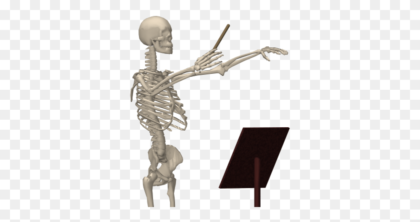 321x385 Animation Of Skeleton, Person, Human HD PNG Download