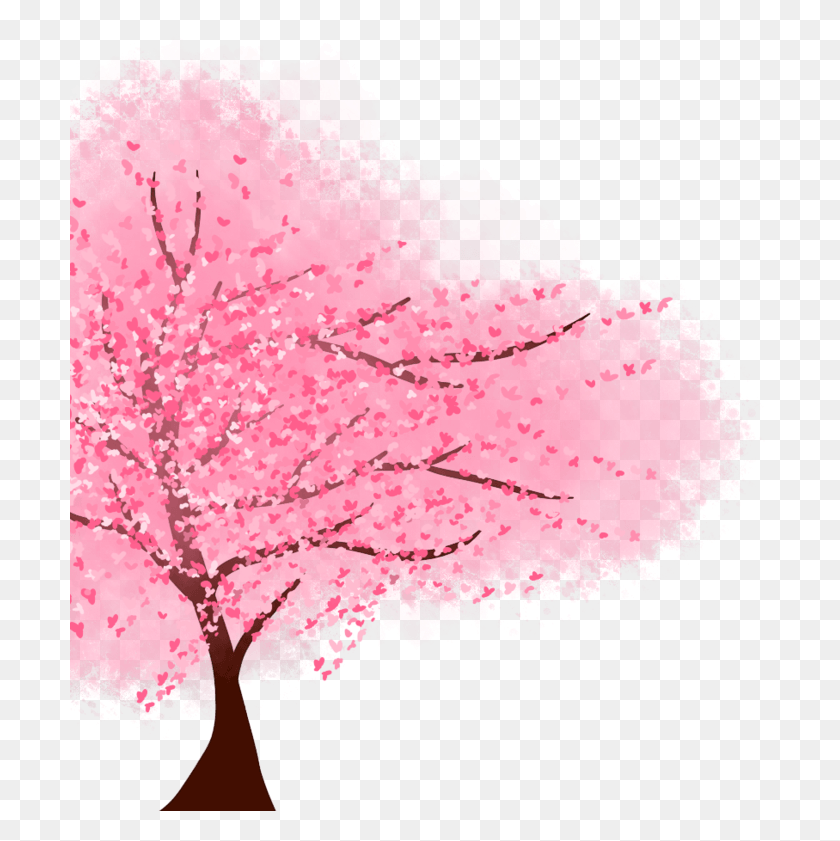 701x781 Anime Cherry Blossom Tree, Plant, Flower, Blossom HD PNG Download