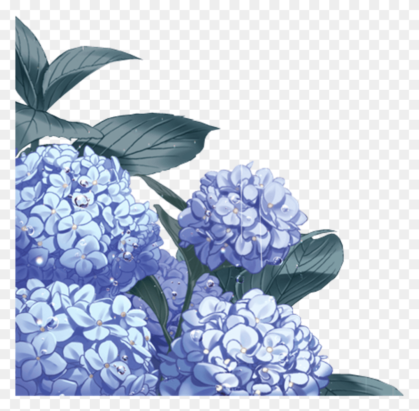 948x929 Anime Sticker Anime Flowers, Plant, Flower, Blossom HD PNG Download